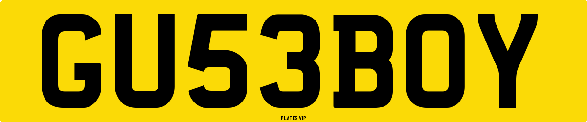 GU 53 BOY Number Plate