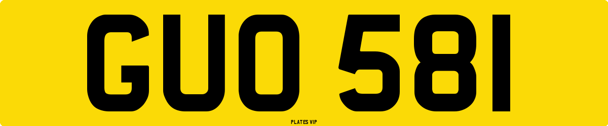 GUO 581 Number Plate