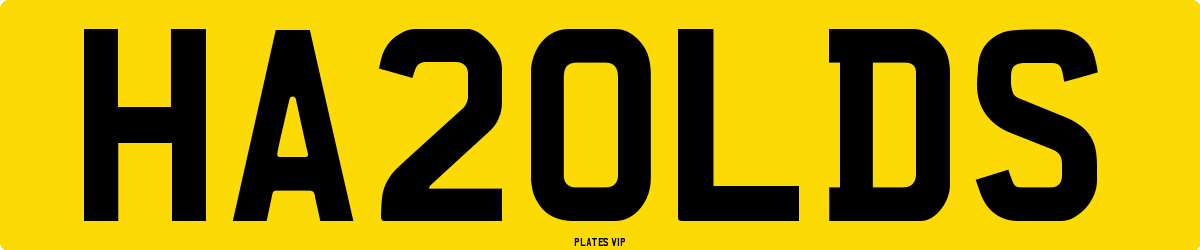 HA20LDS Number Plate