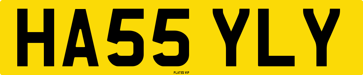 HA55 YLY Number Plate