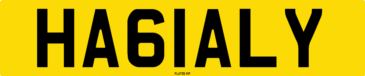 HA61ALY Number Plate
