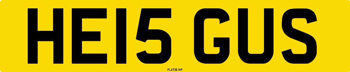 HE15 GUS Number Plate