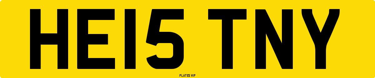 HE15 TNY Number Plate