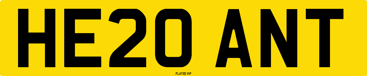 HE20 ANT Number Plate
