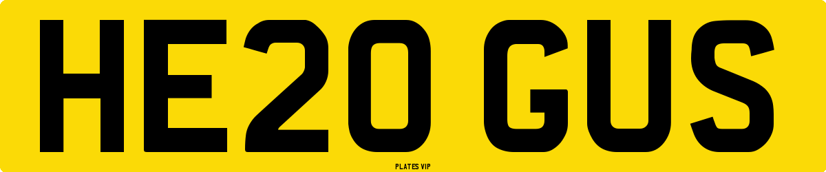 HE20 GUS Number Plate