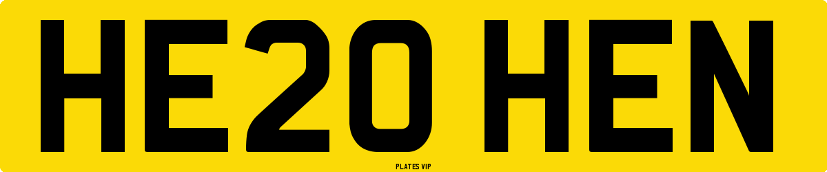 HE20 HEN Number Plate
