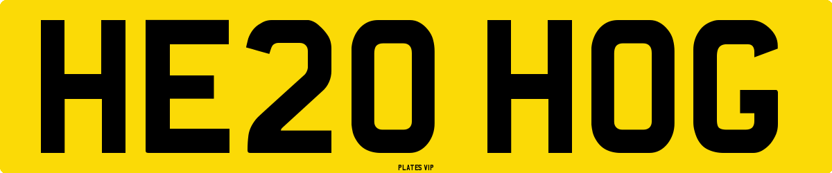 HE20 HOG Number Plate