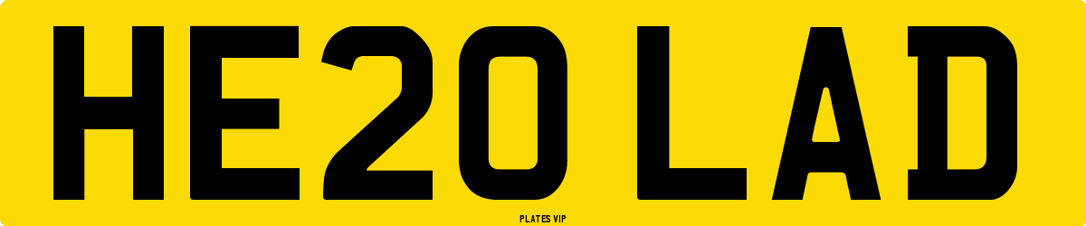HE20 LAD Number Plate