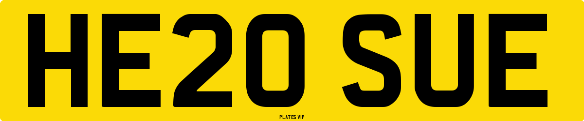 HE20 SUE Number Plate