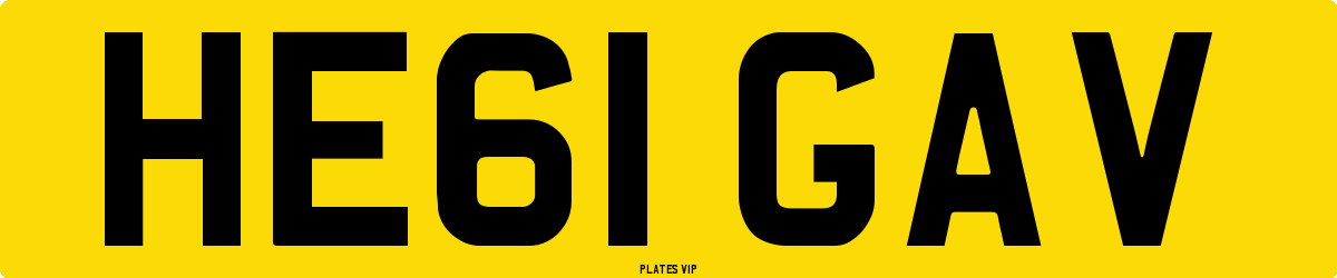 HE61 GAV Number Plate