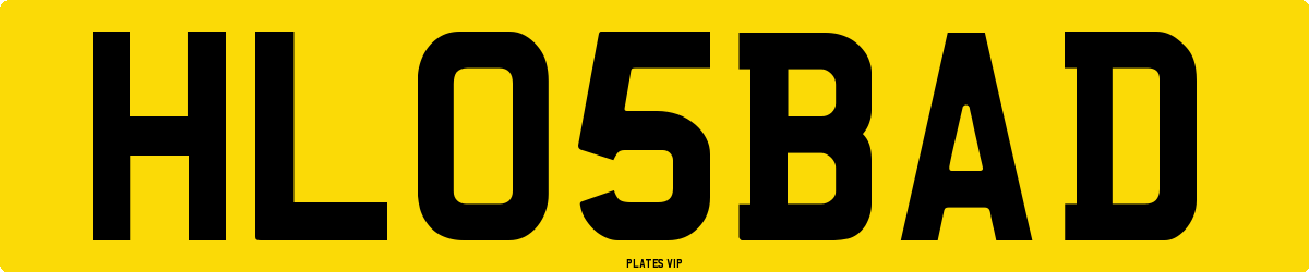 HL 05 BAD Number Plate