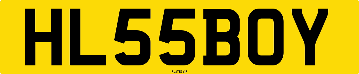HL 55 BOY Number Plate