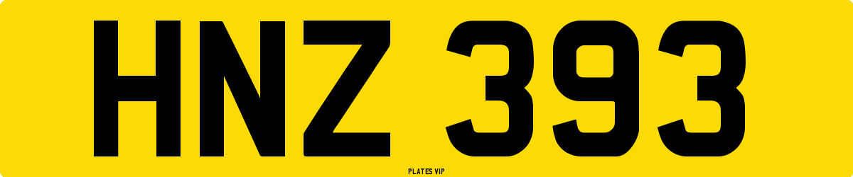HNZ 393 Number Plate
