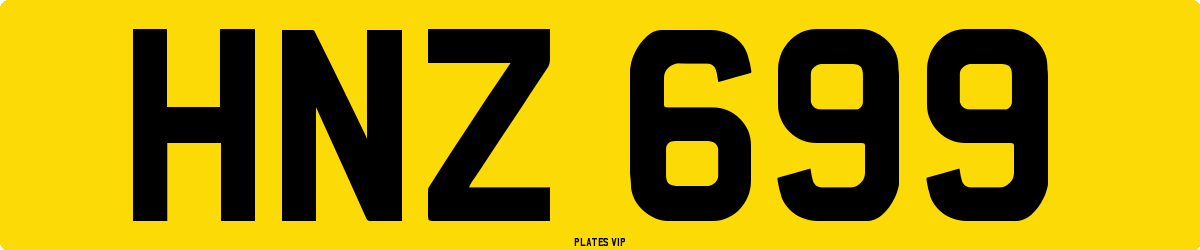 HNZ 699 Number Plate