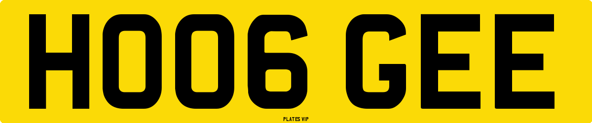 HO06 GEE Number Plate