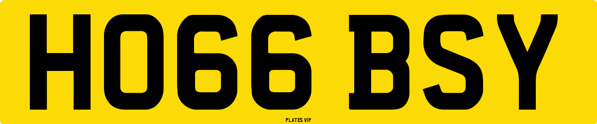 HO66 BSY Number Plate