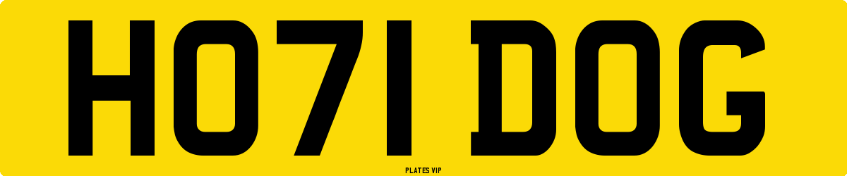 HO71 DOG Number Plate