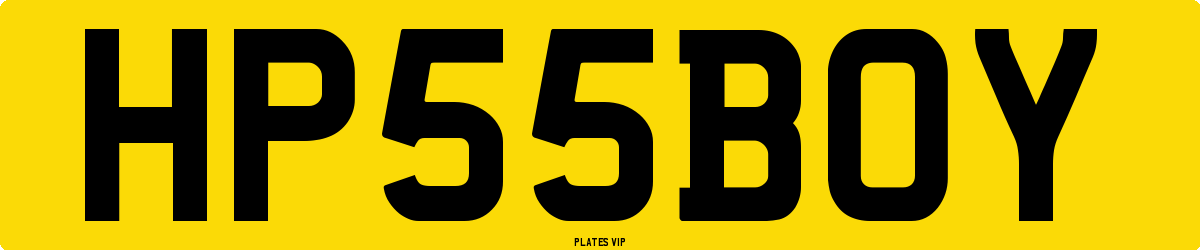 HP 55 BOY Number Plate