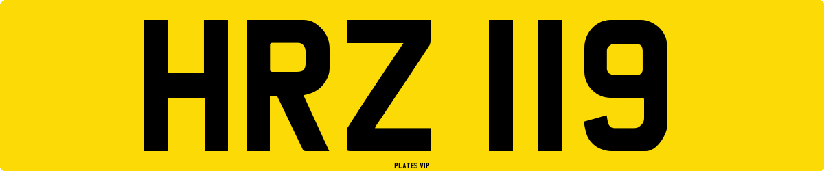 HRZ 119 Number Plate