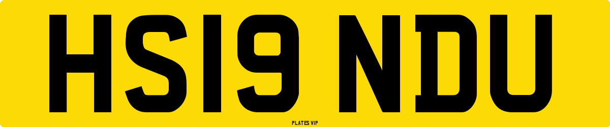 HS19 NDU Number Plate