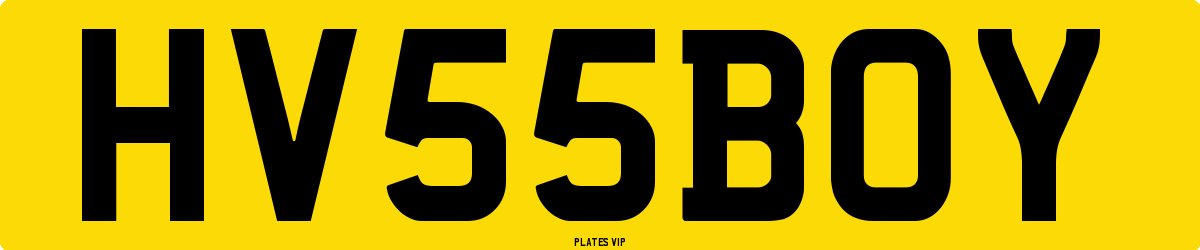 HV 55 BOY Number Plate