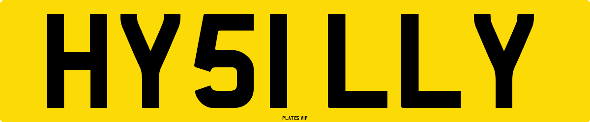 HY51 LLY Number Plate