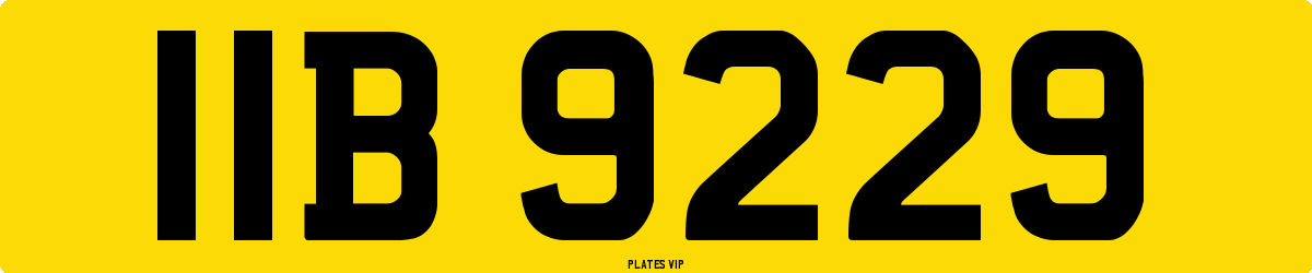 IIB 9229 Number Plate