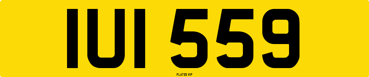 IUI 559 Number Plate