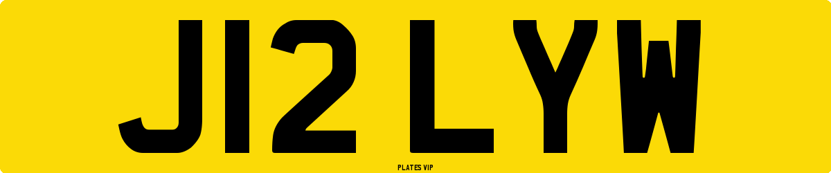 J12 LYW Number Plate
