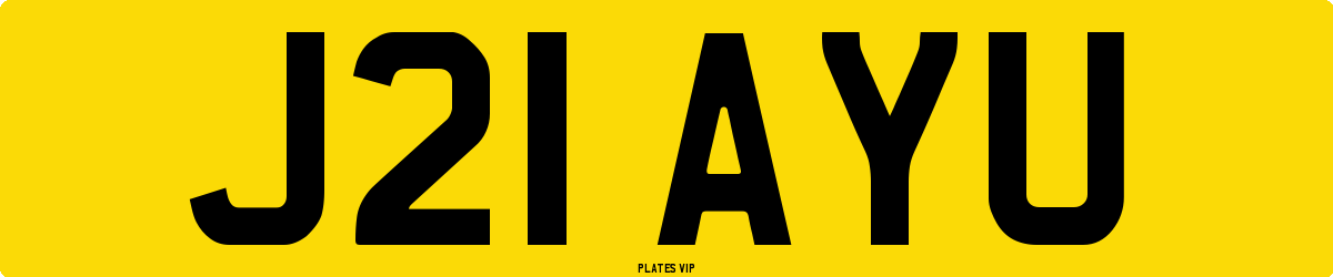 J21 AYU Number Plate