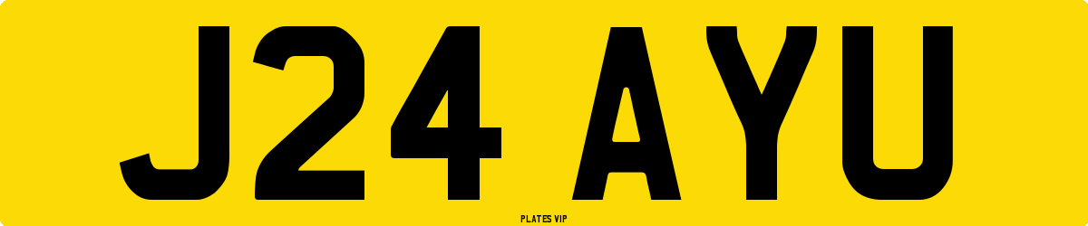 J24 AYU Number Plate