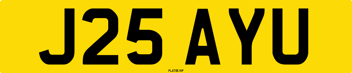 J25 AYU Number Plate
