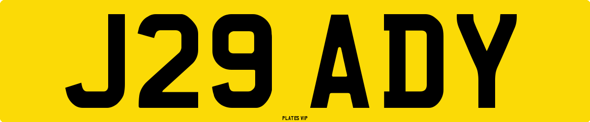 J29 ADY Number Plate