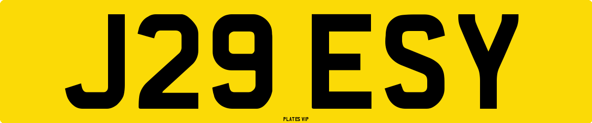 J29 ESY Number Plate