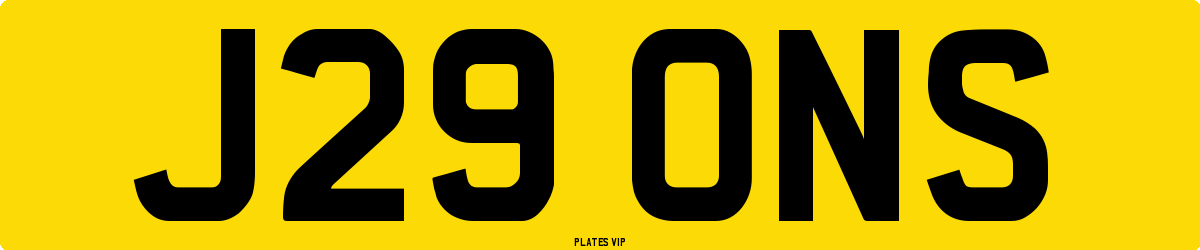 J29 ONS Number Plate