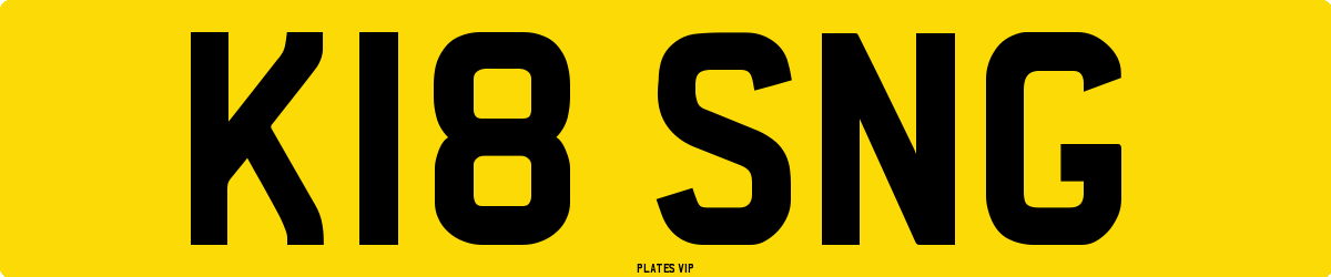 K18 SNG Number Plate