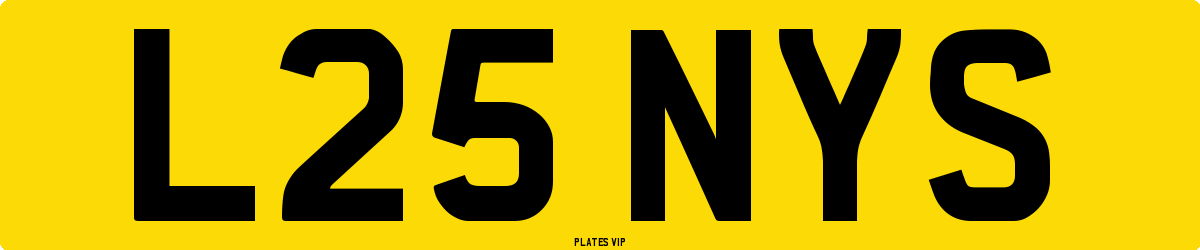 L25 NYS Number Plate