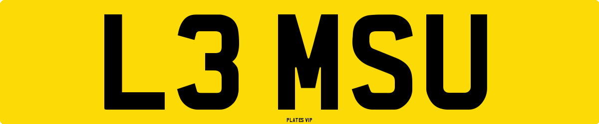 L3 MSU Number Plate