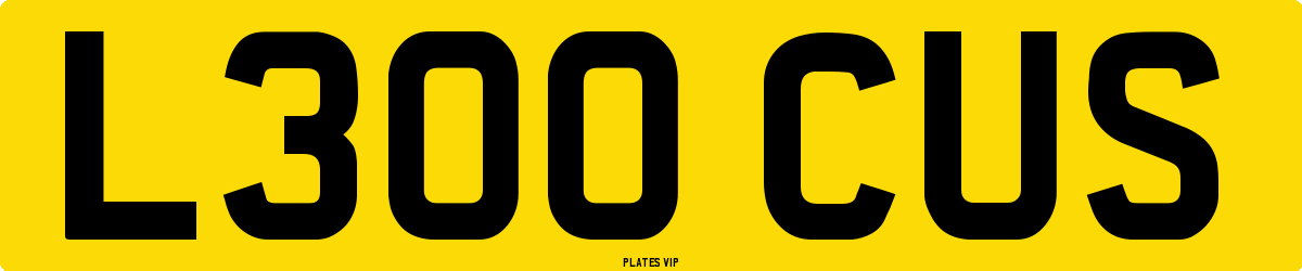 L300 CUS Number Plate