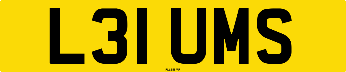 L31 UMS Number Plate
