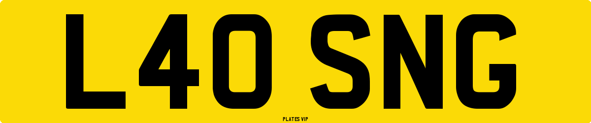 L40 SNG Number Plate