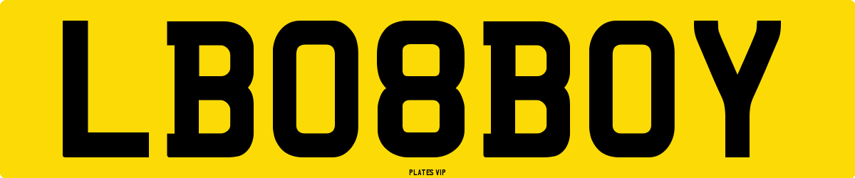 LB 08 BOY Number Plate