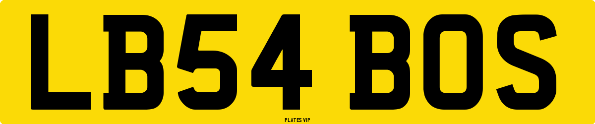 LB54 BOS Number Plate