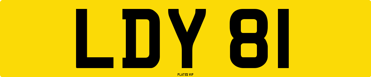 LDY 81 Number Plate