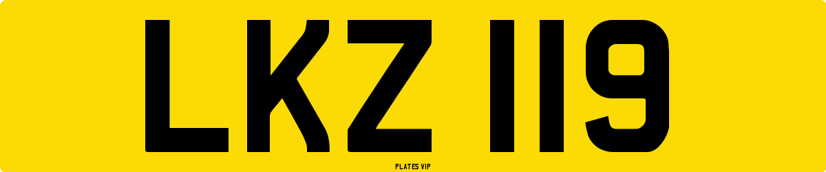LKZ 119 Number Plate
