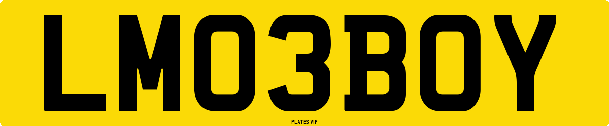 LM 03 BOY Number Plate