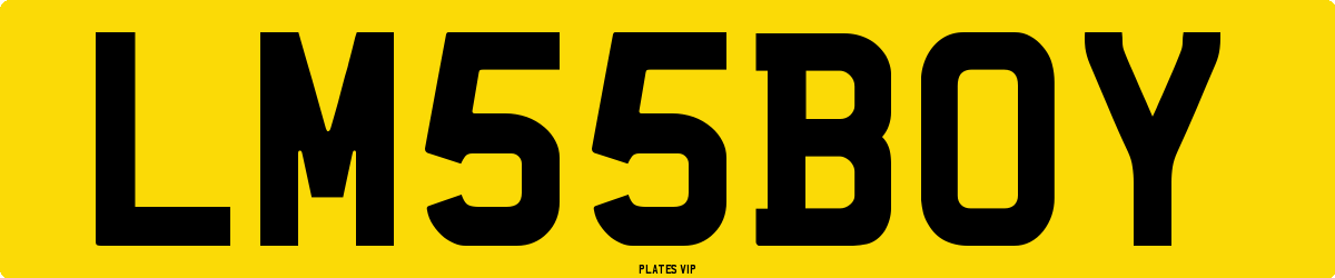 LM 55 BOY Number Plate