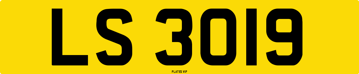 LS 3019 Number Plate