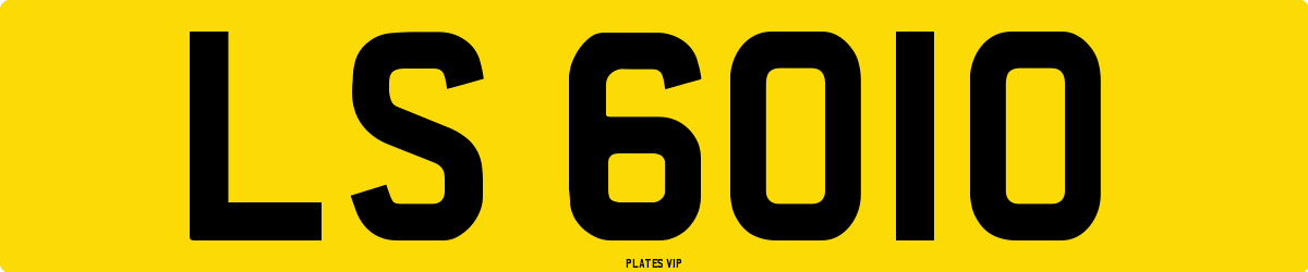 LS 6010 Number Plate