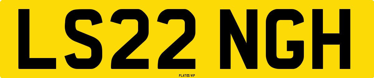 LS22 NGH Number Plate
